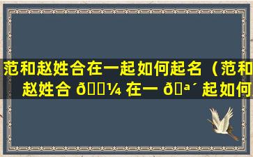 范和赵姓合在一起如何起名（范和赵姓合 🐼 在一 🪴 起如何起名字好听）